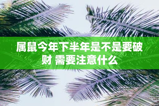 属鼠今年下半年是不是要破财 需要注意什么