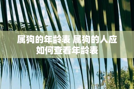 属狗的年龄表 属狗的人应如何查看年龄表