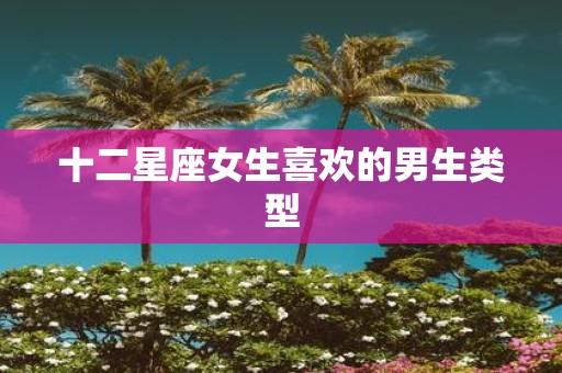 十二星座女生喜欢的男生类型