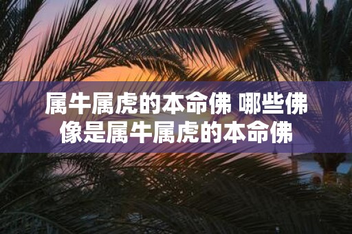 属牛属虎的本命佛 哪些佛像是属牛属虎的本命佛