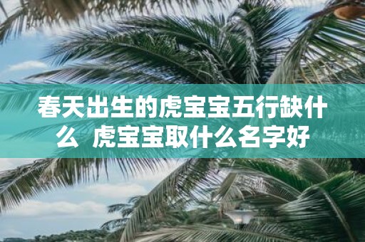 春天出生的虎宝宝五行缺什么 虎宝宝取什么名字好