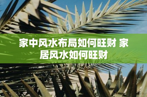 家中风水布局如何旺财 家居风水如何旺财