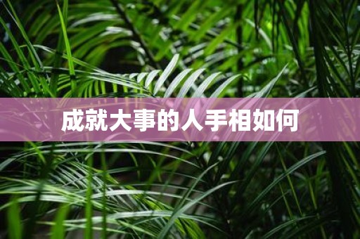 成就大事的人手相如何