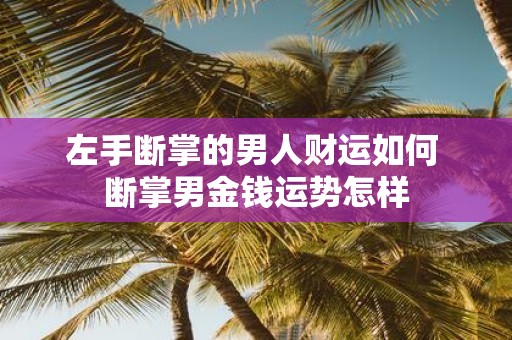 左手断掌的男人财运如何 断掌男金钱运势怎样