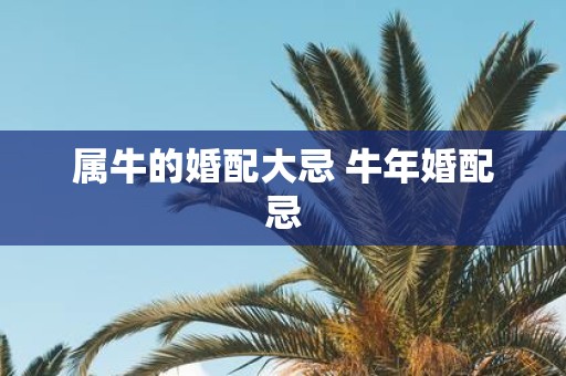 属牛的婚配大忌 牛年婚配忌