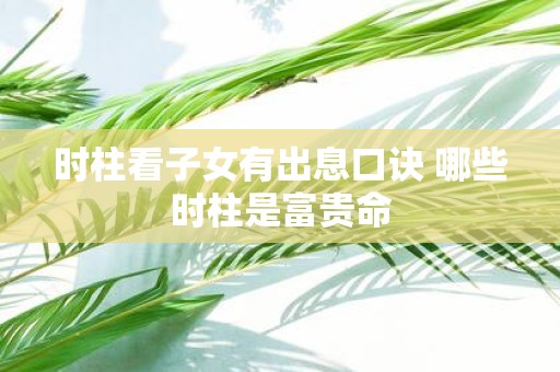 时柱看子女有出息口诀 哪些时柱是富贵命
