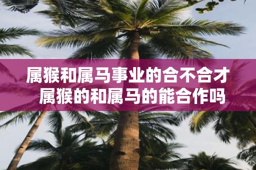 属猴和属马事业的合不合才 属猴的和属马的能合作吗