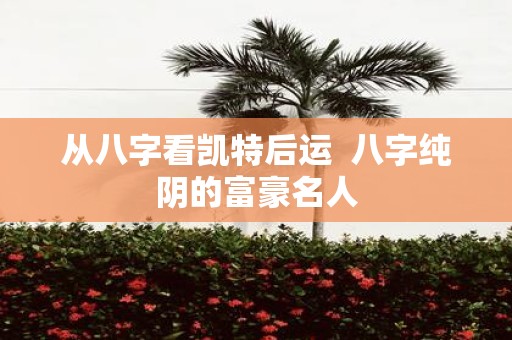 从八字看凯特后运 八字纯阴的富豪名人