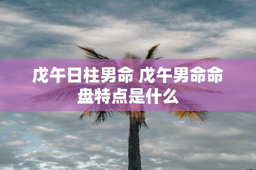 戊午日柱男命 戊午男命命盘特点是什么