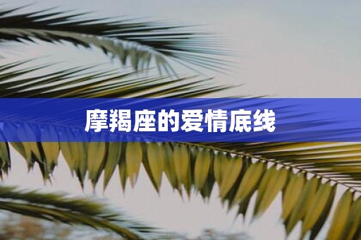 摩羯座的爱情底线