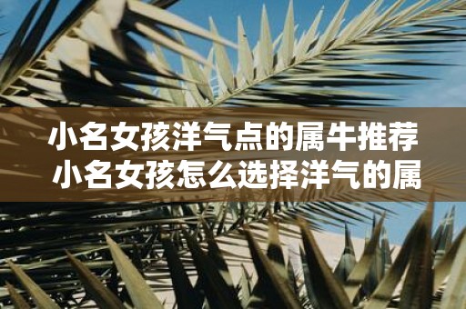 小名女孩洋气点的属牛推荐 小名女孩怎么选择洋气的属牛名字