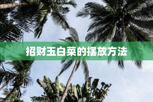 招财玉白菜的摆放方法