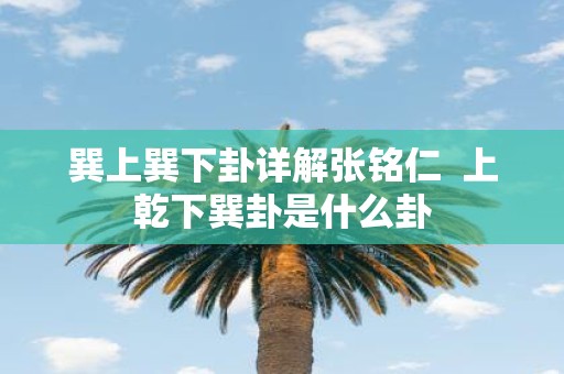 巽上巽下卦详解张铭仁 上乾下巽卦是什么卦