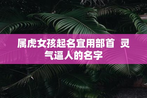 属虎女孩起名宜用部首 灵气逼人的名字