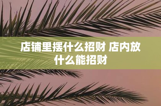店铺里摆什么招财 店内放什么能招财