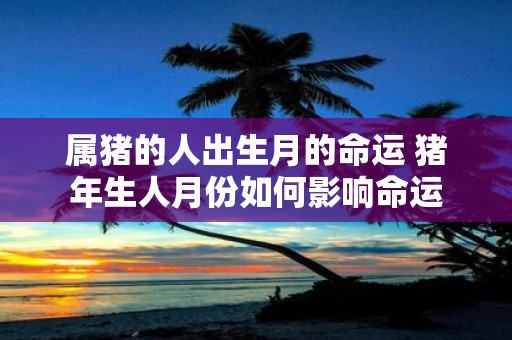 属猪的人出生月的命运 猪年生人月份如何影响命运