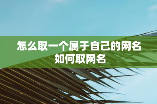 怎么取一个属于自己的网名 如何取网名