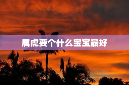 属虎要个什么宝宝最好