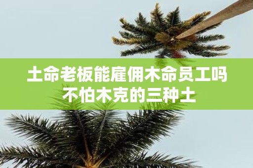 土命老板能雇佣木命员工吗 不怕木克的三种土