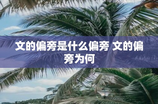 文的偏旁是什么偏旁 文的偏旁为何