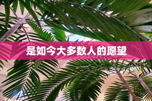 是如今大多数人的愿望