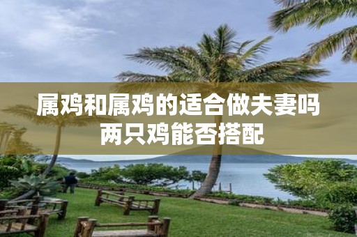 属鸡和属鸡的适合做夫妻吗 两只鸡能否搭配