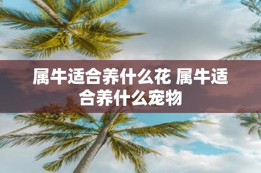 属牛适合养什么花 属牛适合养什么宠物