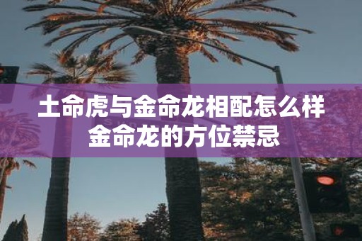 土命虎与金命龙相配怎么样 金命龙的方位禁忌