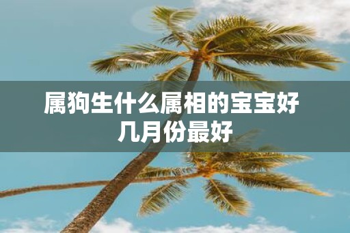 属狗生什么属相的宝宝好 几月份最好