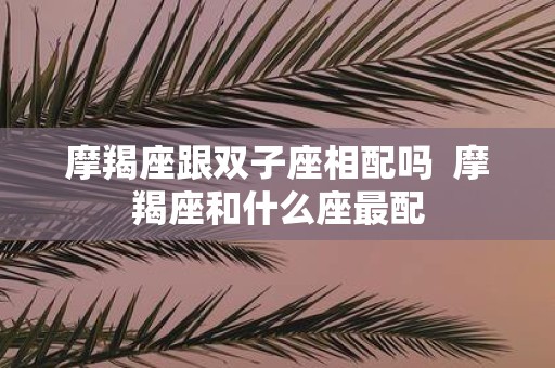 摩羯座跟双子座相配吗 摩羯座和什么座最配