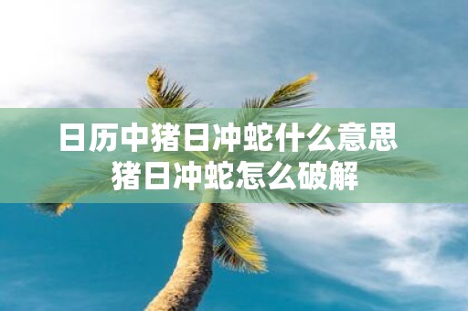 日历中猪日冲蛇什么意思 猪日冲蛇怎么破解