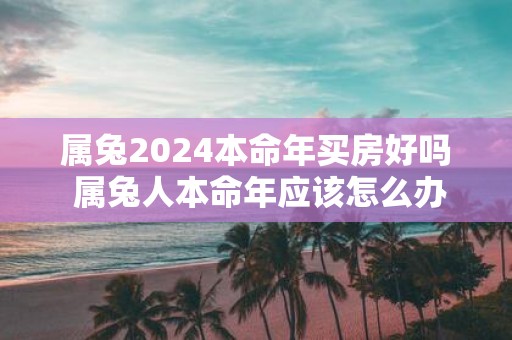 属兔2025本命年买房好吗 属兔人本命年应该怎么办