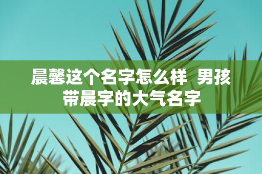 晨馨这个名字怎么样 男孩带晨字的大气名字