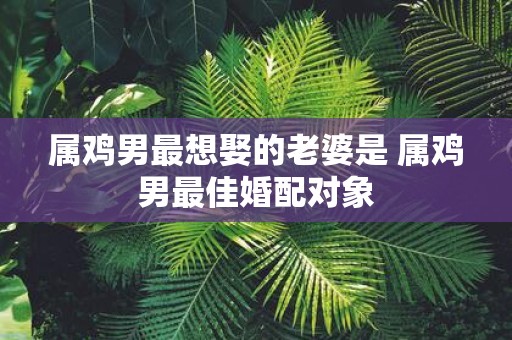 属鸡男最想娶的老婆是 属鸡男最佳婚配对象