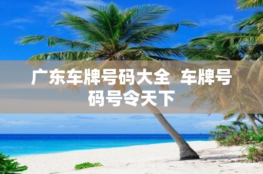 广东车牌号码大全 车牌号码号令天下