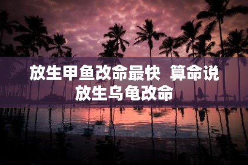 放生甲鱼改命最快 算命说放生乌龟改命
