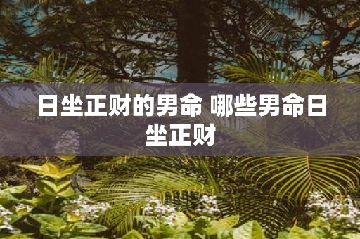 日坐正财的男命 哪些男命日坐正财