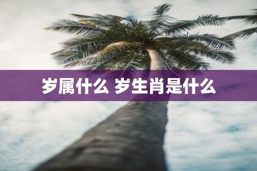 岁属什么 岁生肖是什么