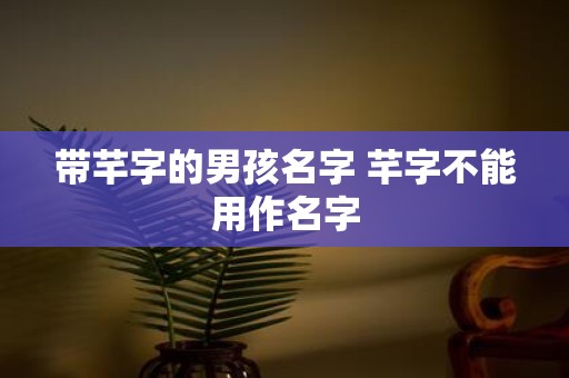 带芊字的男孩名字 芊字不能用作名字
