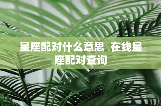 星座配对什么意思 在线星座配对查询