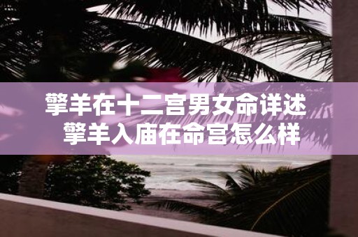 擎羊在十二宫男女命详述 擎羊入庙在命宫怎么样