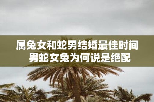 属兔女和蛇男结婚最佳时间 男蛇女兔为何说是绝配