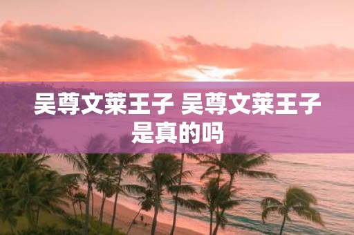 吴尊文莱王子 吴尊文莱王子是真的吗