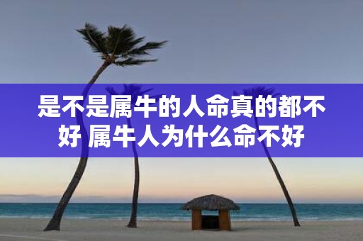 是不是属牛的人命真的都不好 属牛人为什么命不好