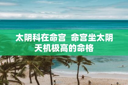 太阴科在命宫 命宫坐太阴天机极高的命格