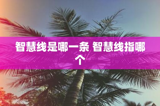 智慧线是哪一条 智慧线指哪个