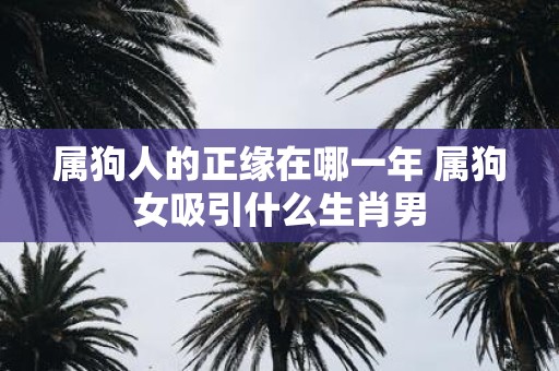 属狗人的正缘在哪一年 属狗女吸引什么生肖男