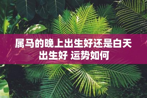 属马的晚上出生好还是白天出生好 运势如何
