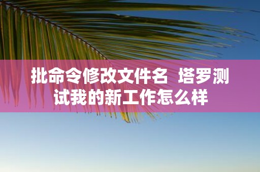 批命令修改文件名 塔罗测试我的新工作怎么样