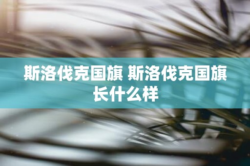 斯洛伐克国旗 斯洛伐克国旗长什么样